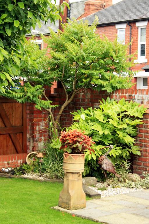 Laurels Bed and Breakfast Oswestry Exteriör bild